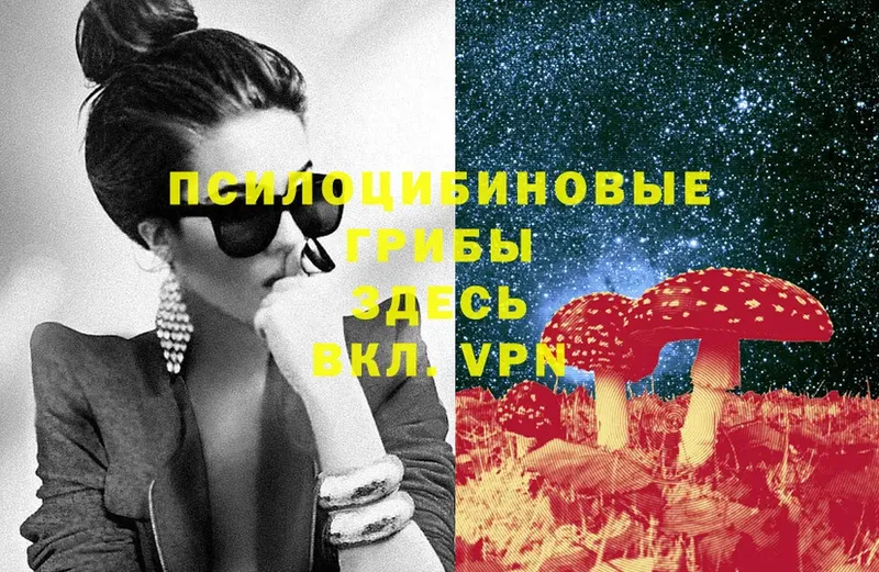 Псилоцибиновые грибы Cubensis  Коркино 